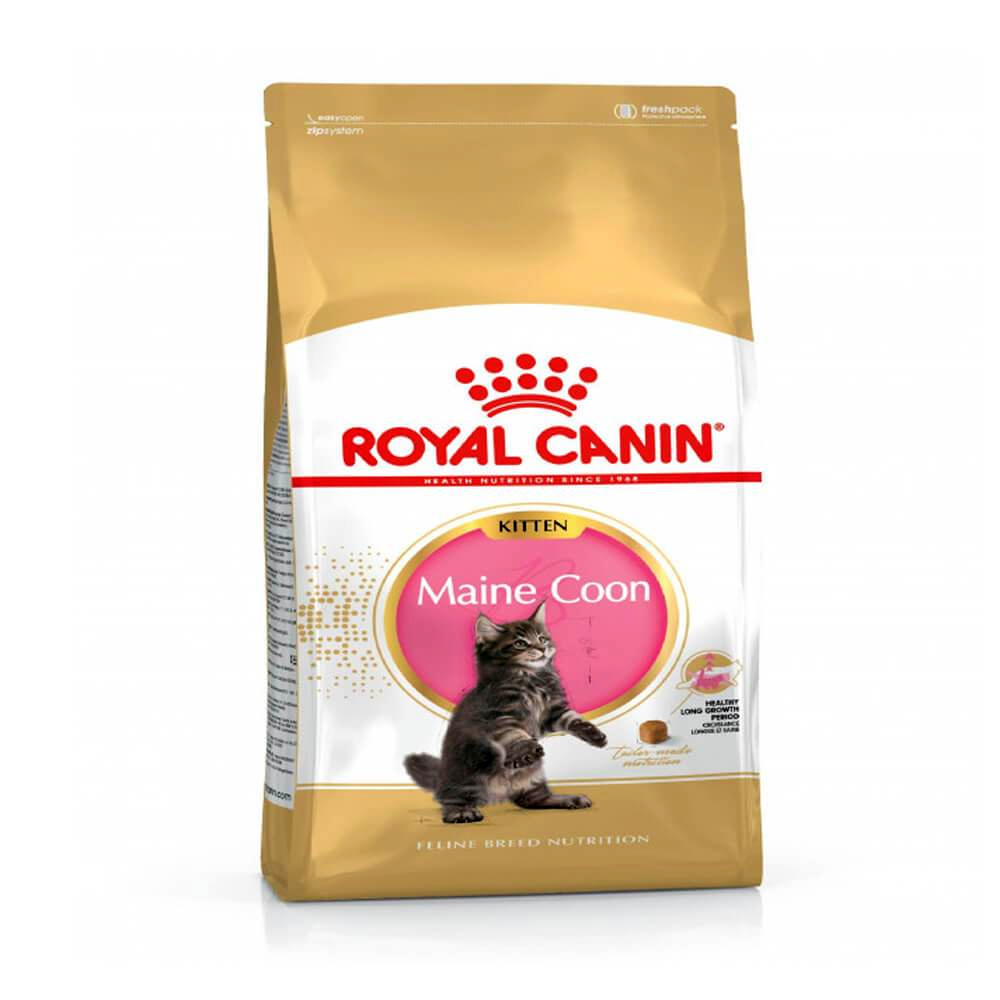 Royal Canin Maine Coon Kitten Dry Cat Food